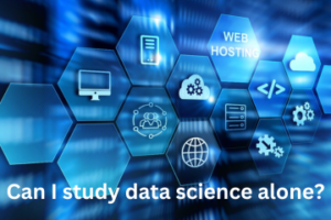Read more about the article <strong>Can I study data science alone?</strong>